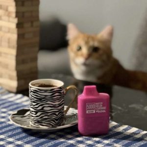 52f6087f65a04650e056a99a4b4f522d 648